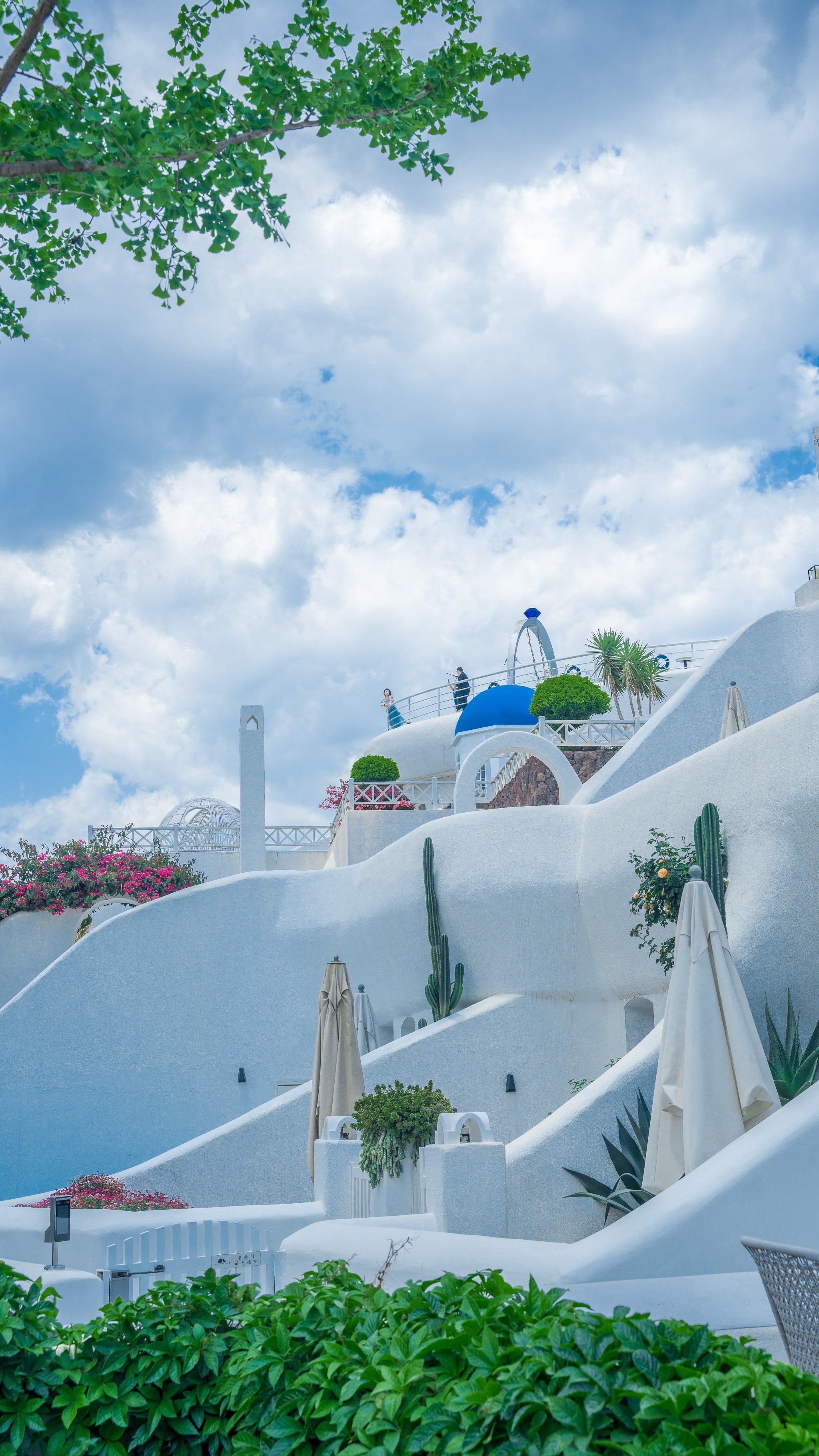 整个理想邦所有的店,都已经成了消费才能拍照92的