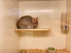 -龙猫仔乐园(惠福东路店)