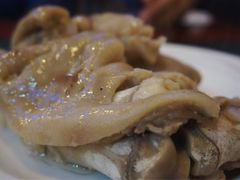 -丁老爷子苏香圆
