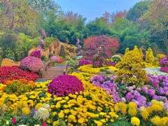 -杭州植物园