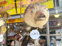 -大澳渔村及棚屋