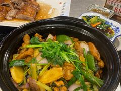 -丰食农家乐