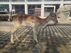 -西安秦岭野生动物园