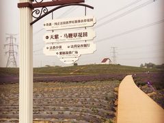 -紫颐香薰山谷景区