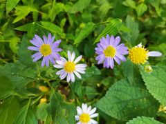 -宁波五龙潭景区