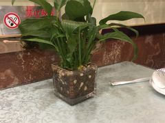 -正阳春烤鸭(华捷道店)