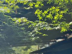-三千院