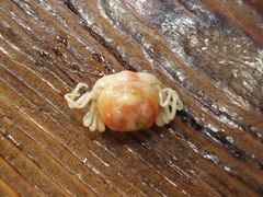 -九层海鲜塔(市南店)