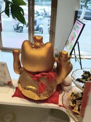 -Dr.林醫生产后修复·配方产康店(南京大厂店)