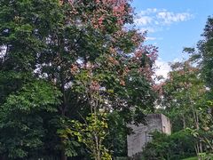 -沙河三洞古桥公园