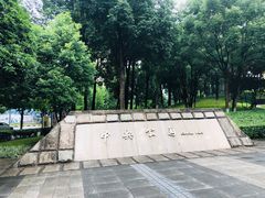 -重庆市江北嘴中央商务区中央公园