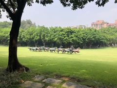-广州雕塑公园