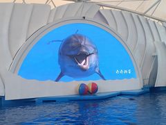 -广州海洋馆