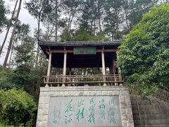 -千岛湖东南湖区