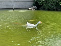 -祝家花園(伯渎港店)