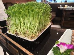 -捞神汤物料理(正大广场店)