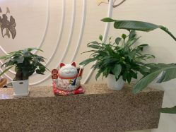 -芳朵美容养生SPA