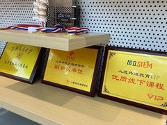 -斯坦星球AI编程·机器人科创·乐高科学·信奥·思维·专注力·STEM·竞赛考级(高新区绿宝广场龙湖狮山天街学习中心)