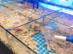 -领鲜活海鲜榴莲自助火锅(东门店)