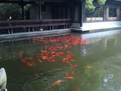 -西湖外事游船(花港观鱼码头)