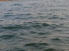 -丁香湖公园