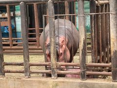 -沈阳森林动物园