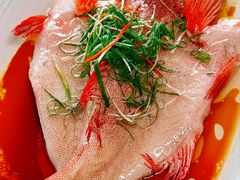 -南海渔村(珠江新城店)