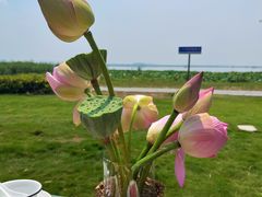 -七的湖·晚芳亭·阳澄湖农家菜·大闸蟹(莲花岛店)