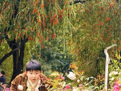 -人民公园(罗湖区)