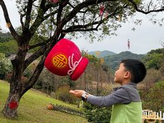 -云溪植物园