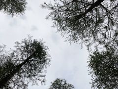 -泗洪洪泽湖湿地景区