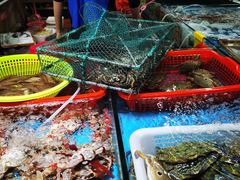 -望海观澜海景音乐餐吧(帆船基地店)