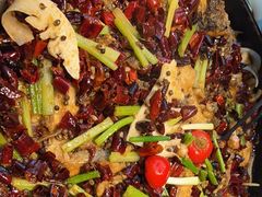 -老板恋上鱼(恒隆广场店)