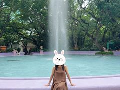 -九龙公园