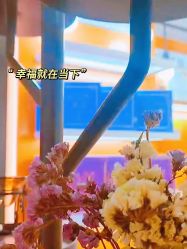 -CAMENAE嘉媚乐