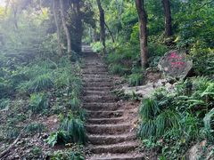 -青龙山国家森林公园