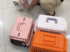 -乐琪宠物医院·犬猫专科·骨外科·急重症