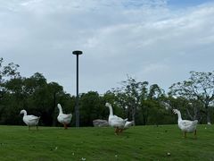 -厦门国家会计学院