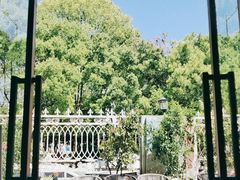 -一棵树·意大利西餐厅One Tree(新城店)