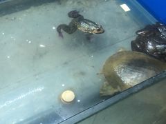-李东农庄(中南百草园地标店)