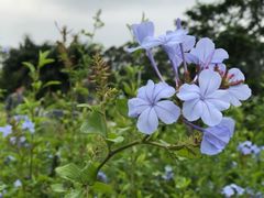 -光明小镇欢乐田园