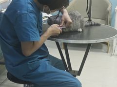 -天宠宠物医院24小时·急重症诊疗中心·全科·腔镜特色(和平分院)