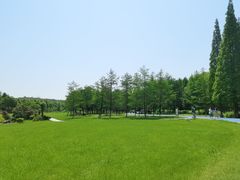-宜兴龙背山森林公园