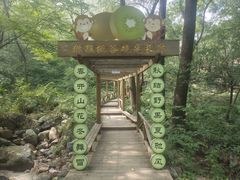 -大岭沟猕猴桃谷风景区