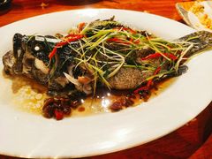 -竹林小屋(库塔店)