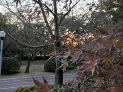 -尚贤河湿地
