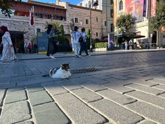 -土耳其与伊斯兰艺术博物馆