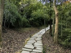 -宝界山林公园