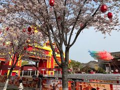 -武汉园博园(武汉自然博物馆)