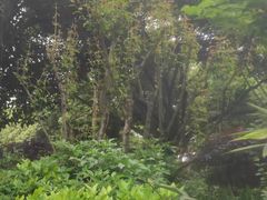 -海兰云天度假区温泉